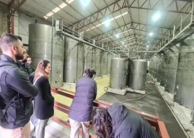 Area de produccion de viña santa rita