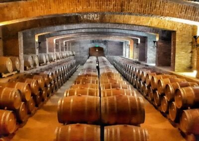 tour viña undurraga santiago: visita a bodegas centenarias
