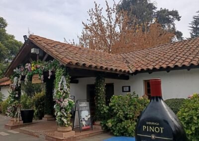 tour viña undurraga: punto de encuentro con la botella gigante