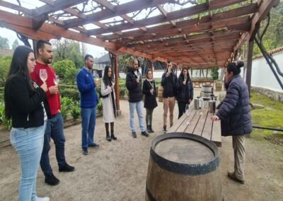 Degustación de 3 vinos Premium del Viña Santa Rita Tour