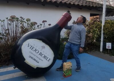 guía profesional en el tour viña undurraga (español, ingles, portugues)