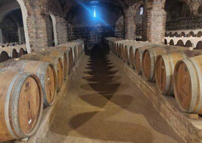 Viña Santa Rita Tour: Tanques de fermentación y proceso de elaboración