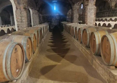 Bodega viña santa rita tour