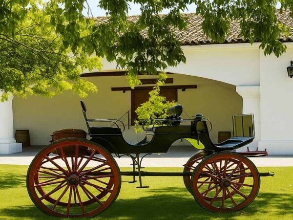 tour viña undurraga santiago con cata de 3 vinos reserva y traslado coordinado