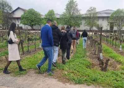 Viña Santa Rita Tour: Recorrido por las plantaciones de uva en el Valle del Maipo