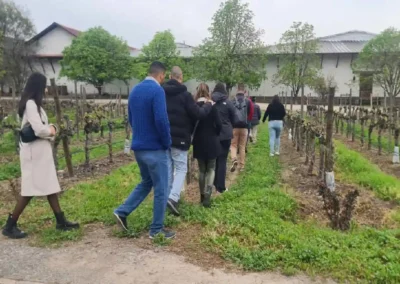 Viña Santa Rita Tour: Recorrido por las plantaciones de uva en el Valle del Maipo
