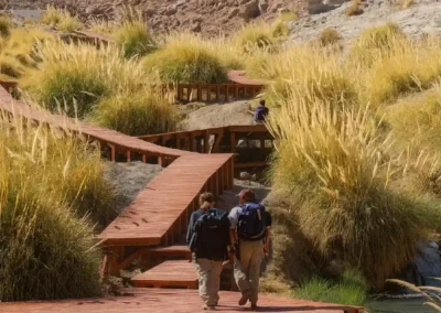 Pasarelas de madera entre las piscinas termales de Puritama en un cañón andino.